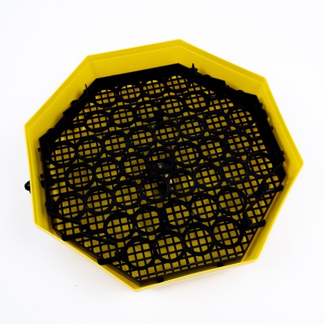 Incubator cu dispozitiv de intoarcere oua si termometru Cleo 5DT ERT-MN 9054, 41 oua gaina/74 oua prepelita (clocitoare)