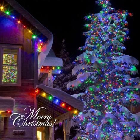 Instalatie de Craciun, Tip Liniara Rola 100 m, Multicolor