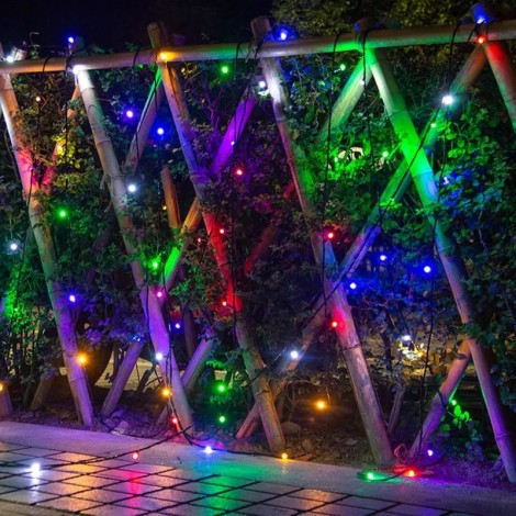 Instalatie de Craciun, Tip Liniara Rola 100 m, Multicolor